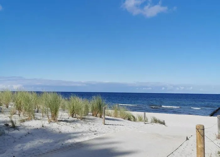 アパート Unsere Barrierefreie Perle Mit Terrasse Im Bernsteinhaus Zingst - 1 -